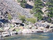 31455_Middle Fork